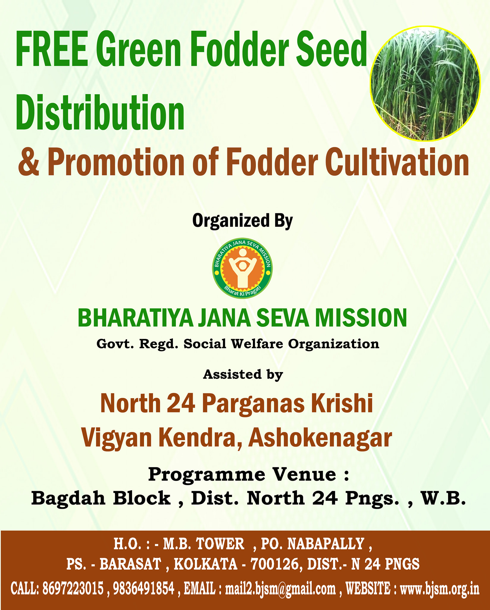 Green Fodder Distribution For Livestock