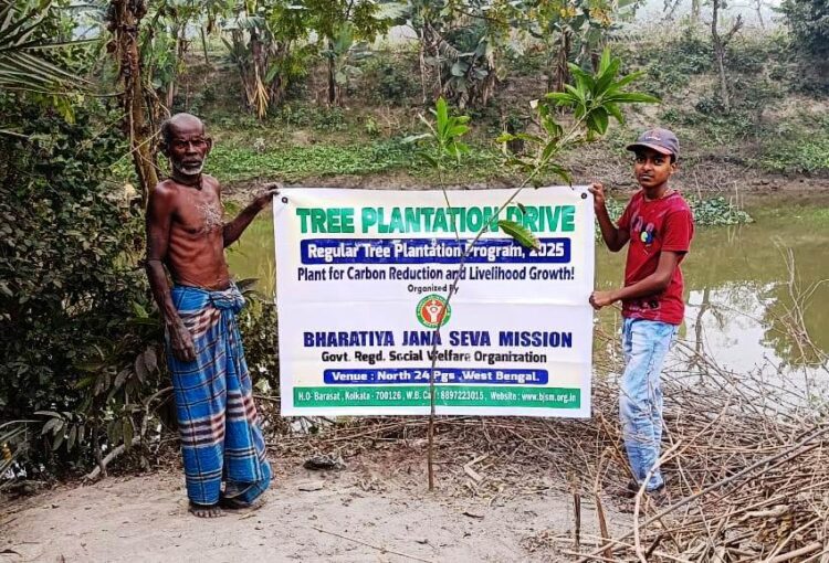 Donate to Tree Plantation in India