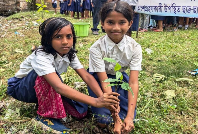 Donate to Tree Plantation in India