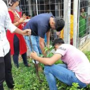 Donate to Tree Plantation in India