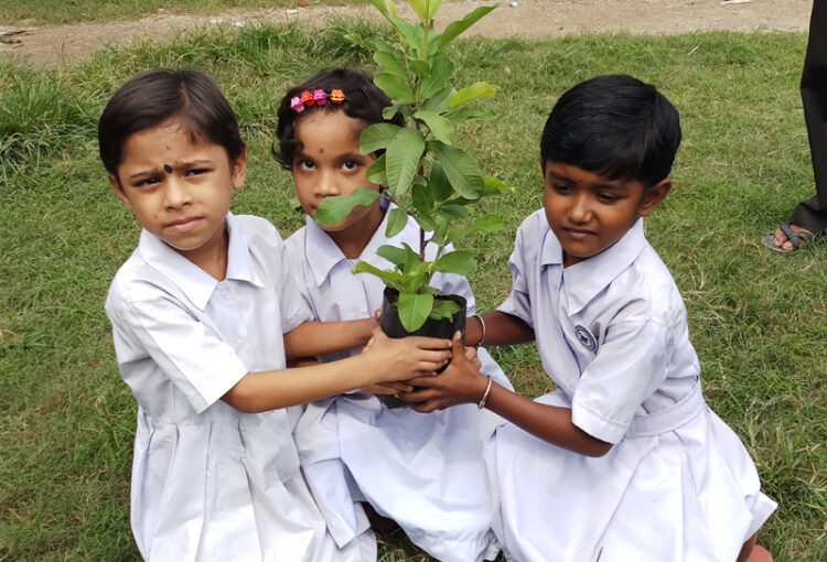 Donate to Tree Plantation in India