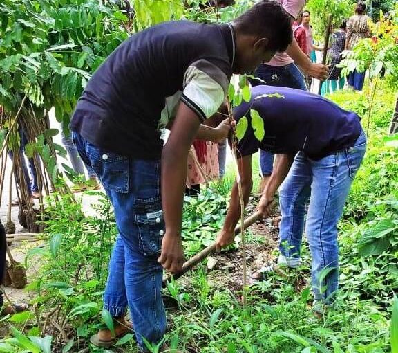 Tree Plantation NGO in India