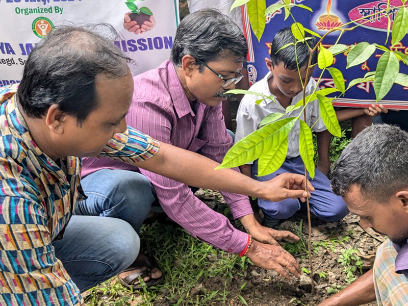 Tree Plantation NGO