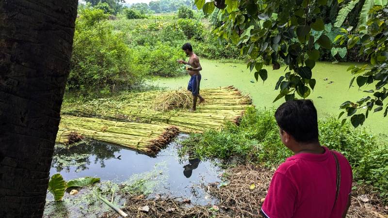 NGO working for jute farmers in India