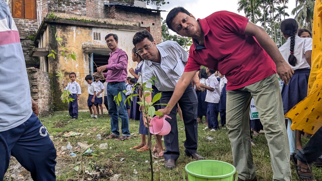 Tree Plantation