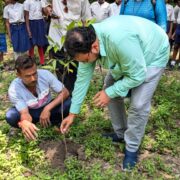 Donate to Tree Plantation in India