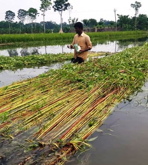 Celebrating Sustainable Agriculture in West Bengal