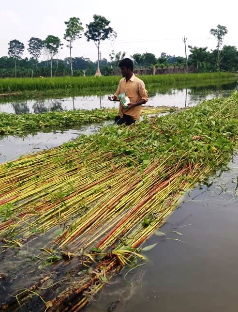 Celebrating Sustainable Agriculture in West Bengal