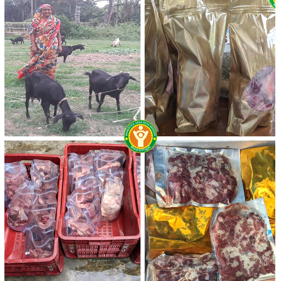 Women-Led Black Bengal Goat Cluster – Progress Report