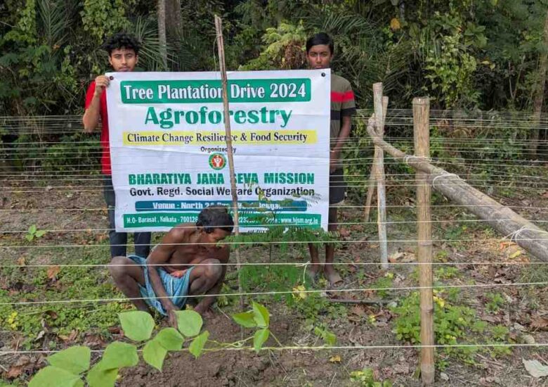 NGO for Agroforestry in India