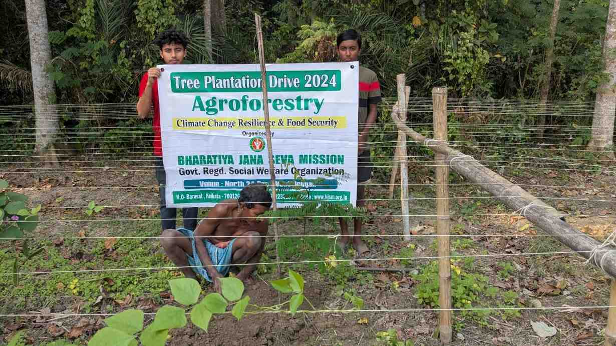 NGO for Agroforestry in India