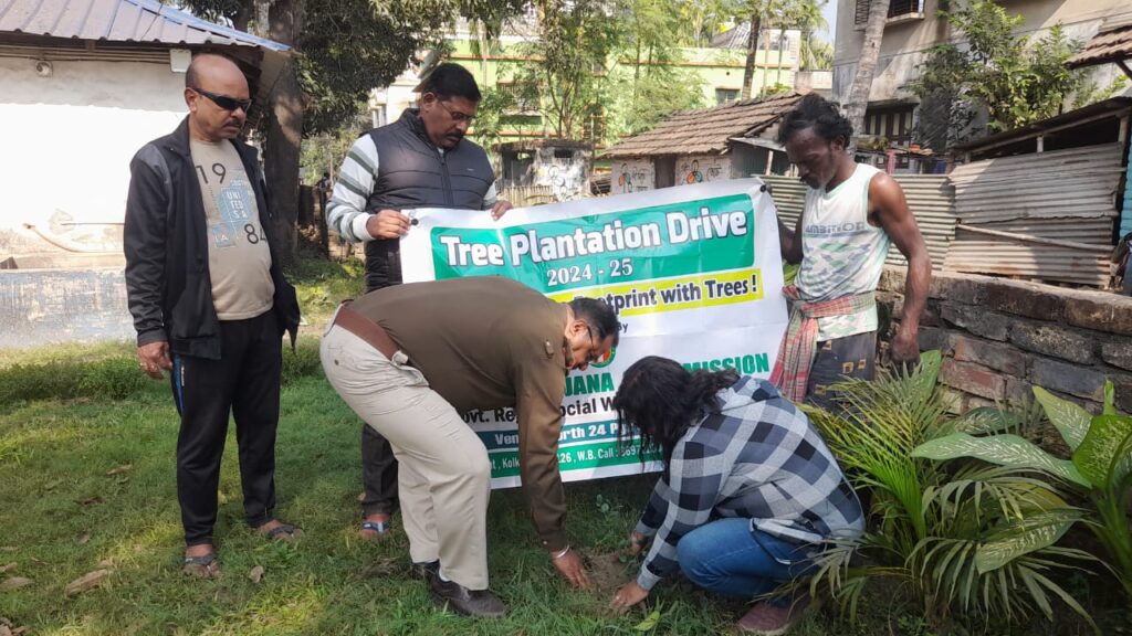 Urban Tree Plantation in India