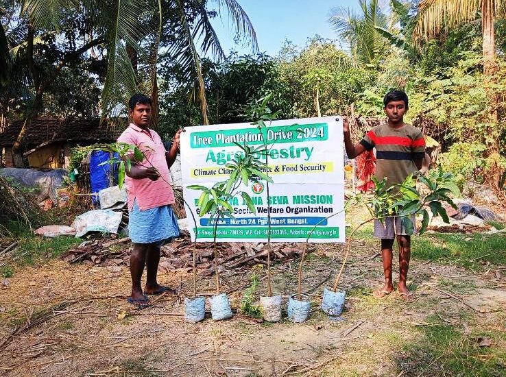 Agroforestry in West Bengal