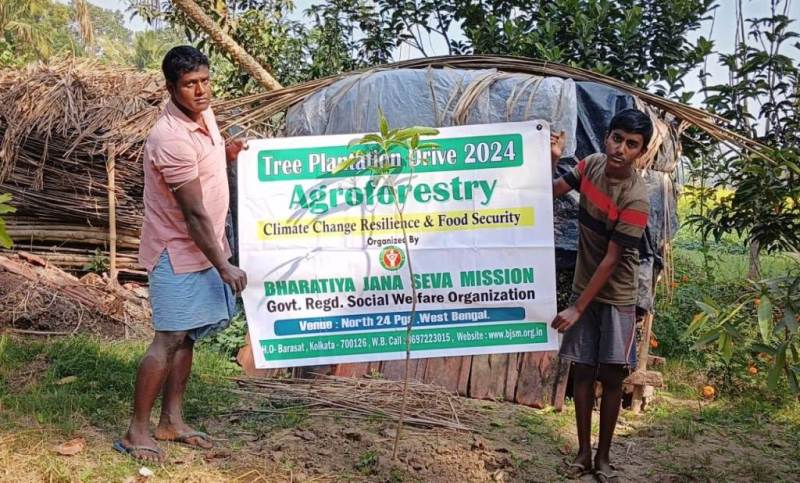 Agroforestry in West Bengal implemented by NGO