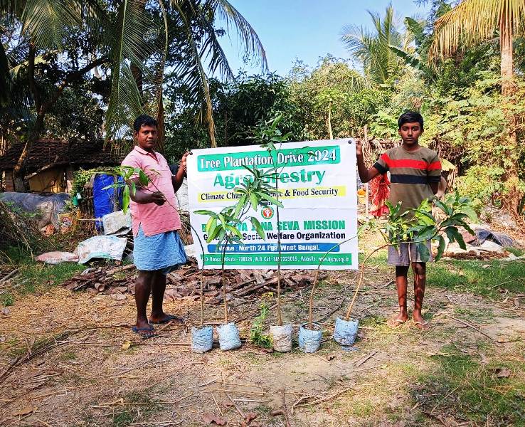 Agroforestry in West Bengal