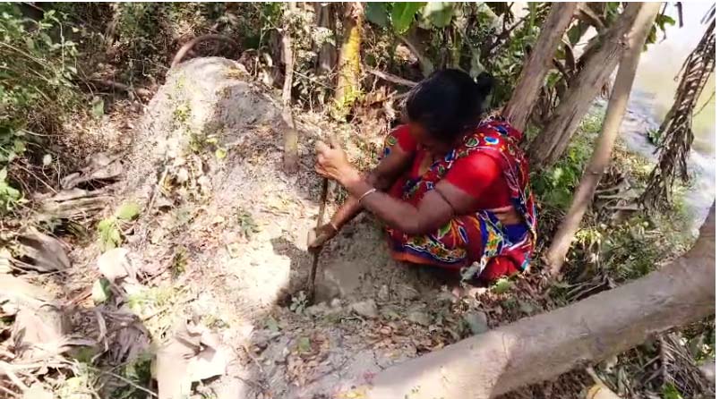 Community Tree Plantation NGO in West Bengal