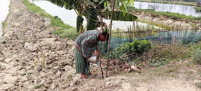 Tree Plantation Drive to Save Wetlands & Uplift Communities in Kolkata ,India