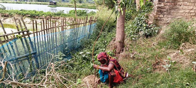 Tree Plantation Drive to Save Wetlands & Uplift Communities in West Bengal, India