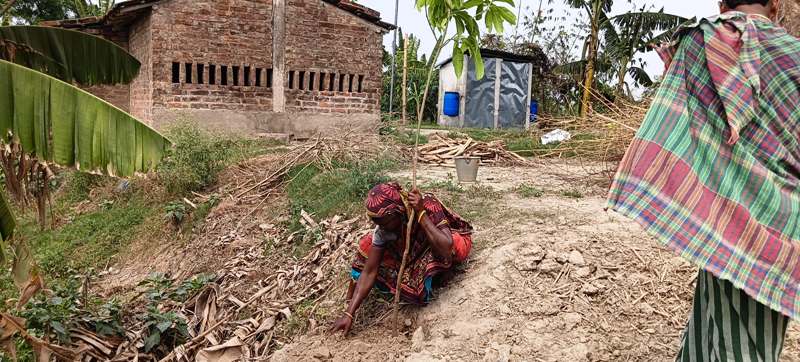 Tree Plantation Drive to Save Wetlands & Uplift Communities in West Bengal