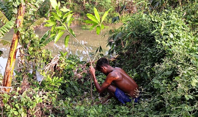 Tree Plantation Drive to Protect Lives & Livelihoods
