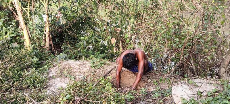 Tree Plantation Drive to Protect Lives & Livelihoods in Kolkata , West Bengal, India