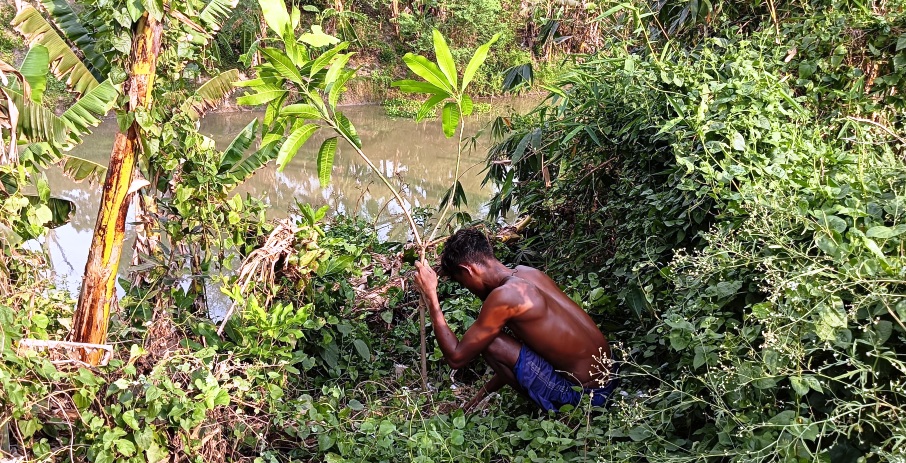 Tree Plantation Drive to Protect Lives & Livelihoods