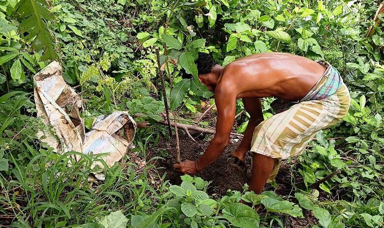 Environmental NGO Leads Tree Plantation in West Bengal
