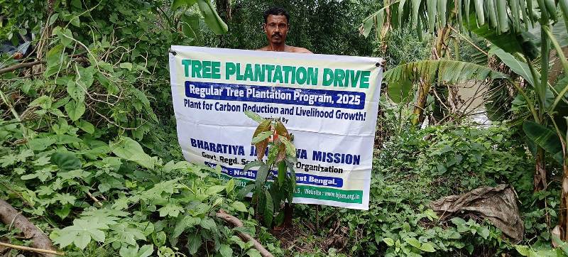 Environmental NGO Leads Tree Plantation in by NGOs in India