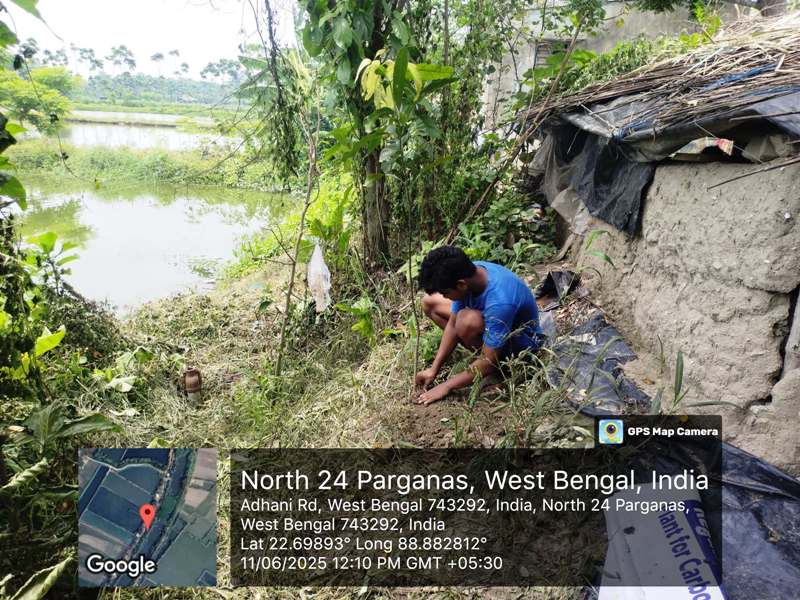 Tree Plantation Drive for Riverside Communities in Kolkata, India