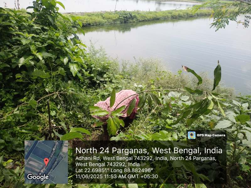 Tree Plantation Drive for Riverside Communities in Kolkata, West Bengal