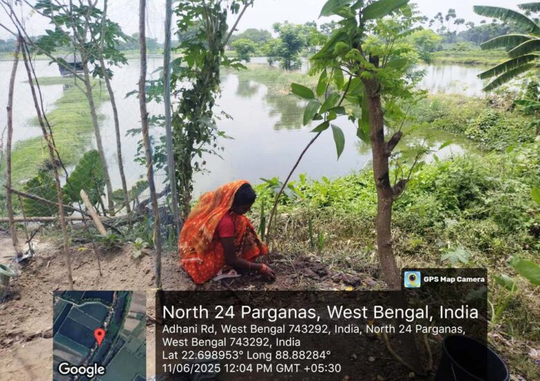 Tree Plantation Drive for Riverside Communities in West Bengal
