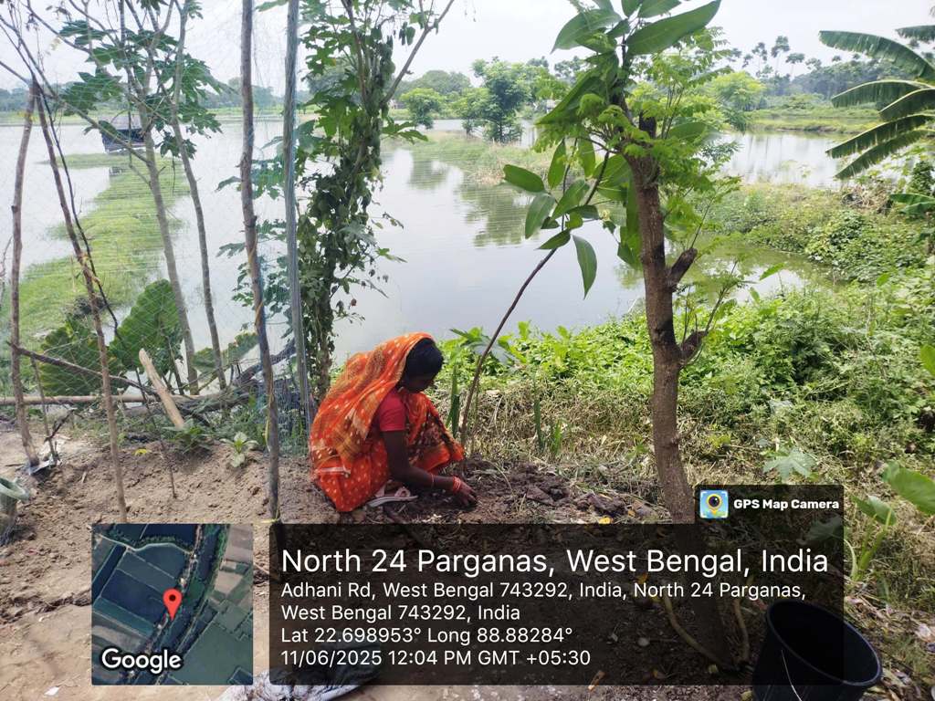 Tree Plantation Drive for Riverside Communities in West Bengal