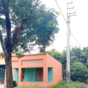 Donate For Wildlife India