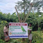 Donate For Wildlife India