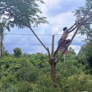 Donate For Wildlife India