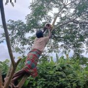 Donate For Wildlife India