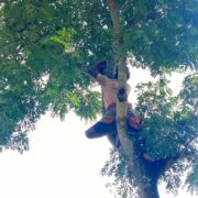 Donate For Wildlife India