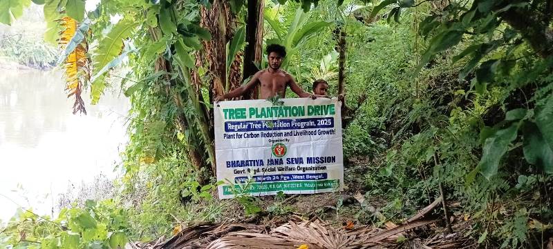 Sustainable Development Through Tree Plantation by NGOs in Kolkata