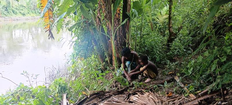 Sustainable Development Through Tree Plantation by NGOs