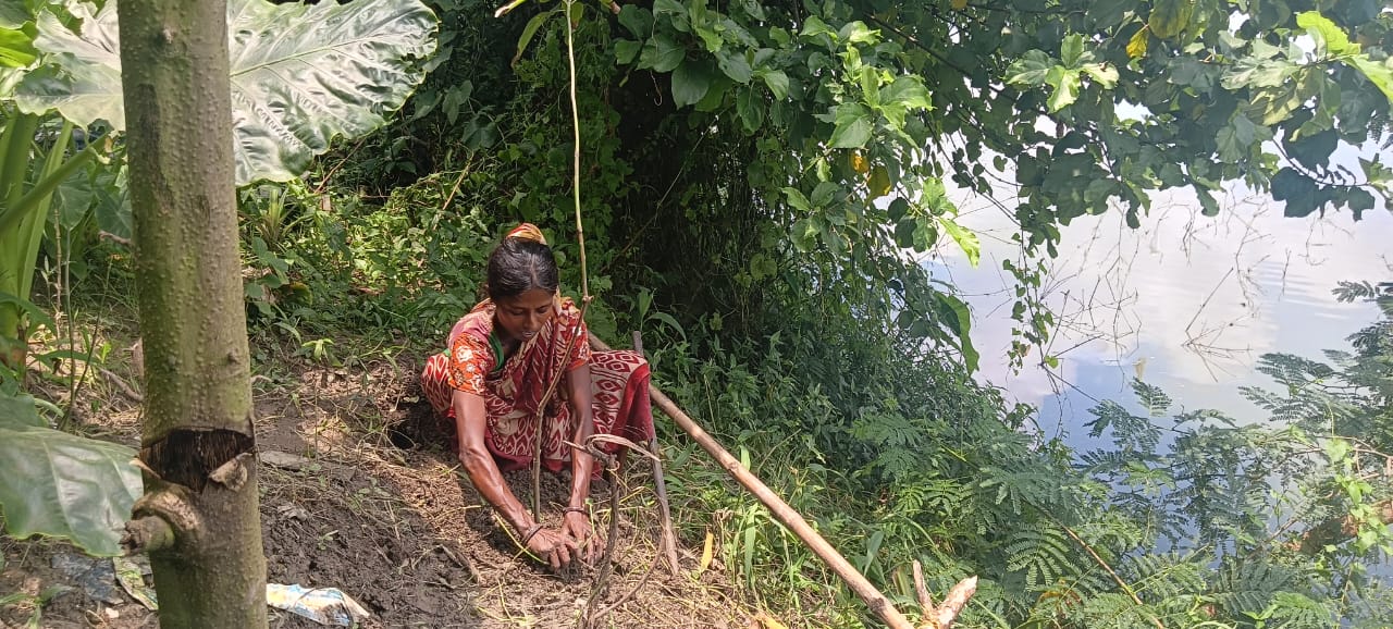 Sustainable Development Through Tree Plantation