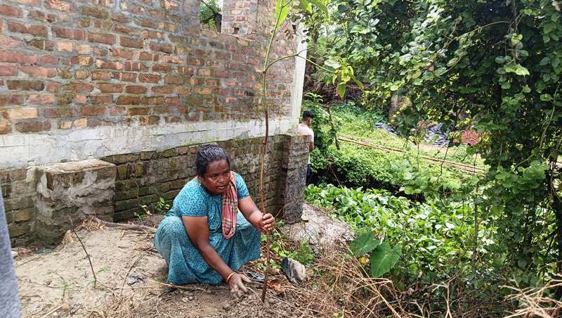 Tree Plantation 23 August, 2025 by Bharatiya Jana Seva Mission