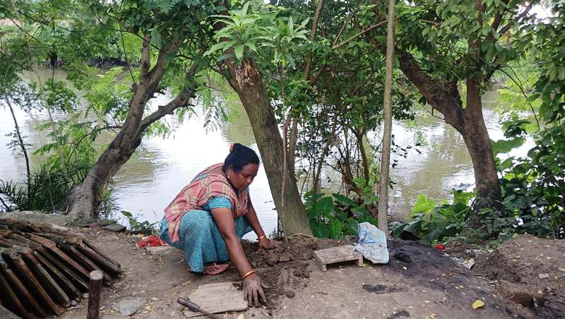 Tree Plantation DriveTree Plantation August, 2025