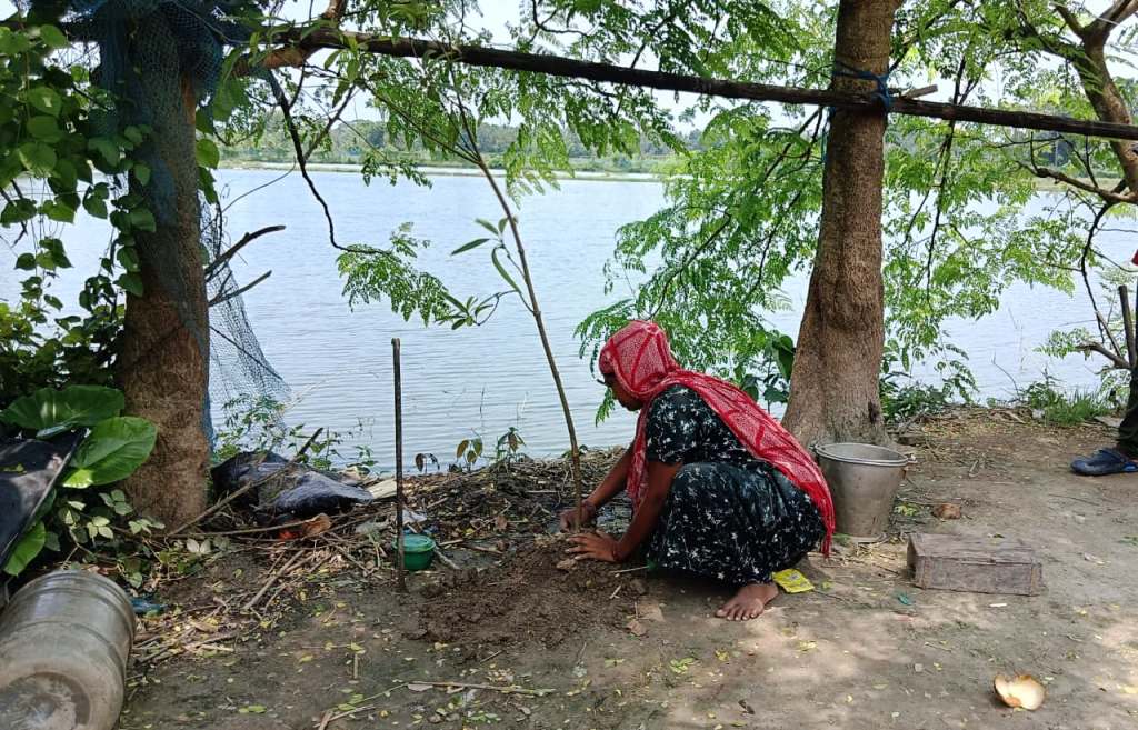 Tree by Tree, Towards a Sustainable Future in India