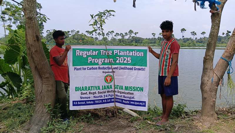 Tree by Tree by NGOs in Kolkata
