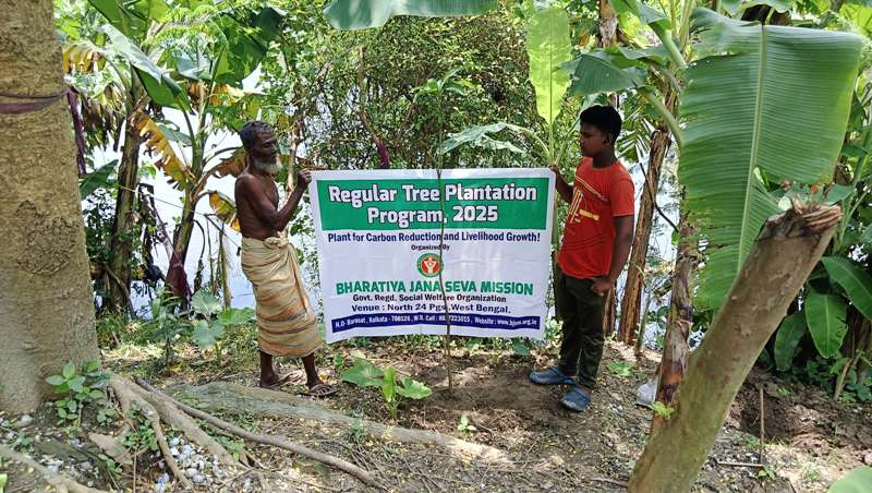 Tree by Tree by NGOs in West Bengal, India