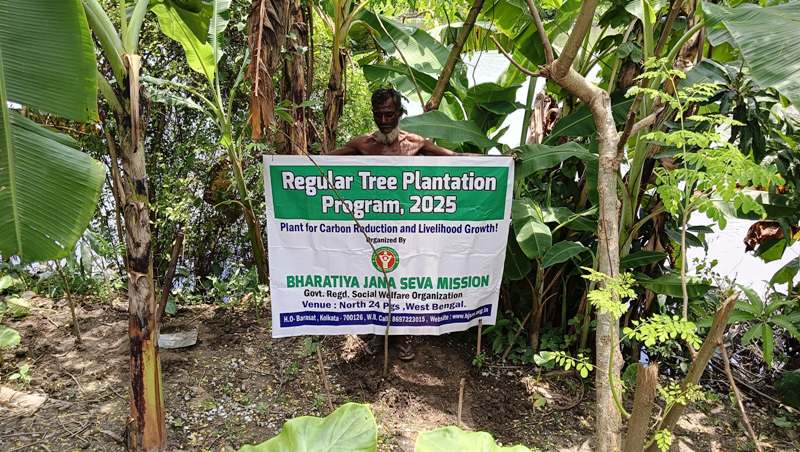 Tree by Tree by NGOs