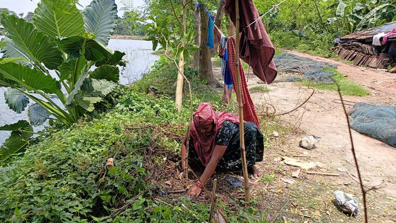Tree by Tree in Kolkata