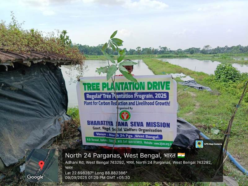 Mango Tree Plantation Drive by BJSM