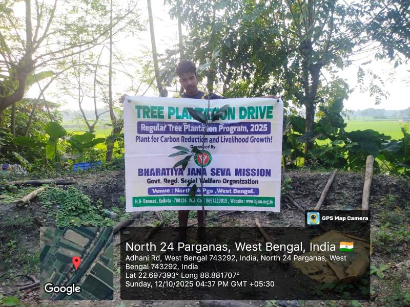 Community tree planting 2025