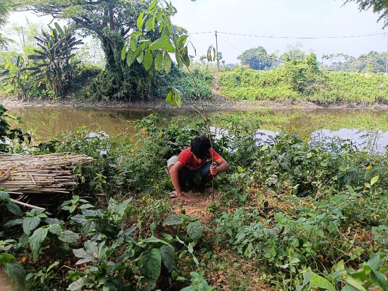 Water Body Conservation Drive by NGO in Kolkata